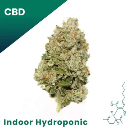 Pink Panther Indoor CBD Flower